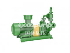 GS(D)R化工轉子泵